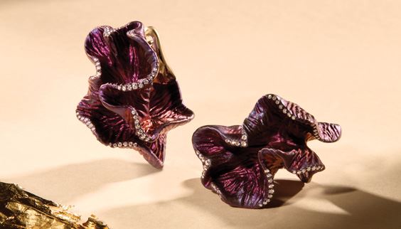 Foto 564x322_Aqua.jpg