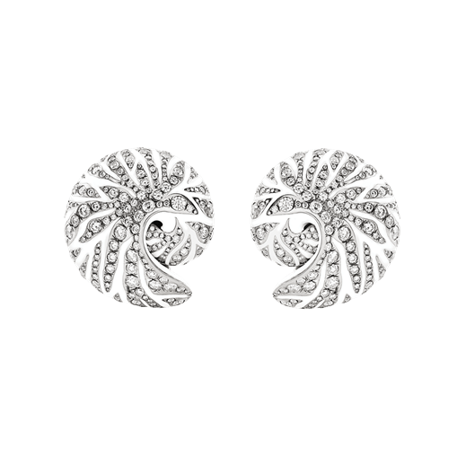 Orecchini Nautilus Titanio