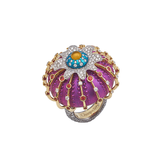 Ring Titanium