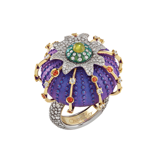 Ring Titanium